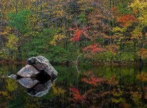 Fall Foliage By Nature Photographer Juergen Roth